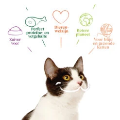 8x Yarrah Bio Kattenvoer Multipack Paté Graanvrij Zalm - Zeewier -KattenPlezier Winkel 1003008 4