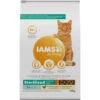 Iams Kat Adult Sterilised - Overweight Kip