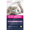 Eukanuba Kat Kitten - Junior Kip - Lever
