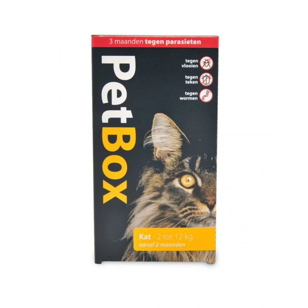 Petbox Kat 2-12 Kg 1 Petbox Kat 2-12 Kg