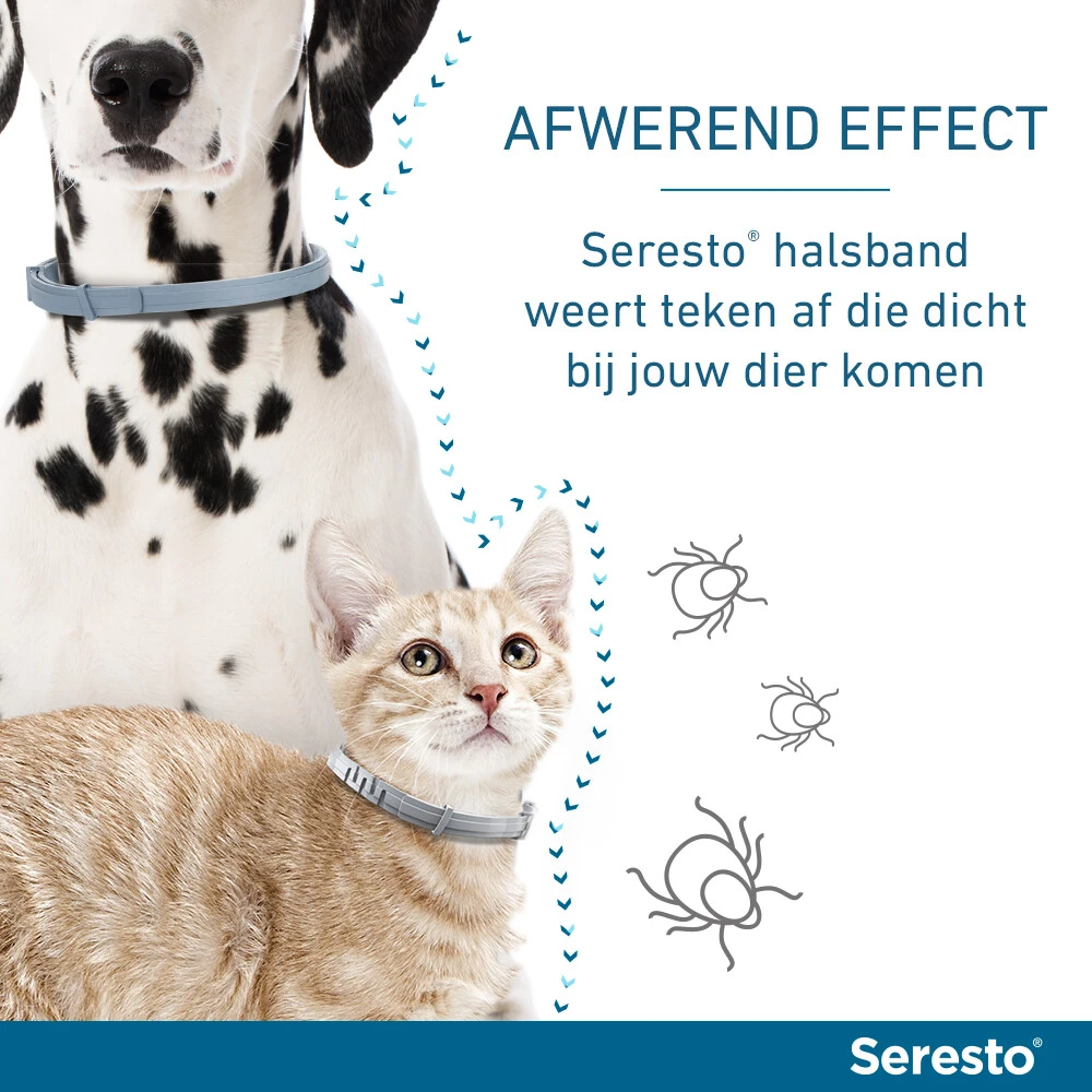 Seresto Anti Vlooien En Teken Halsband Kat Tot 8 Kg 4 Seresto Anti Vlooien En Teken Halsband Kat Tot 8 Kg - Afbeelding 4