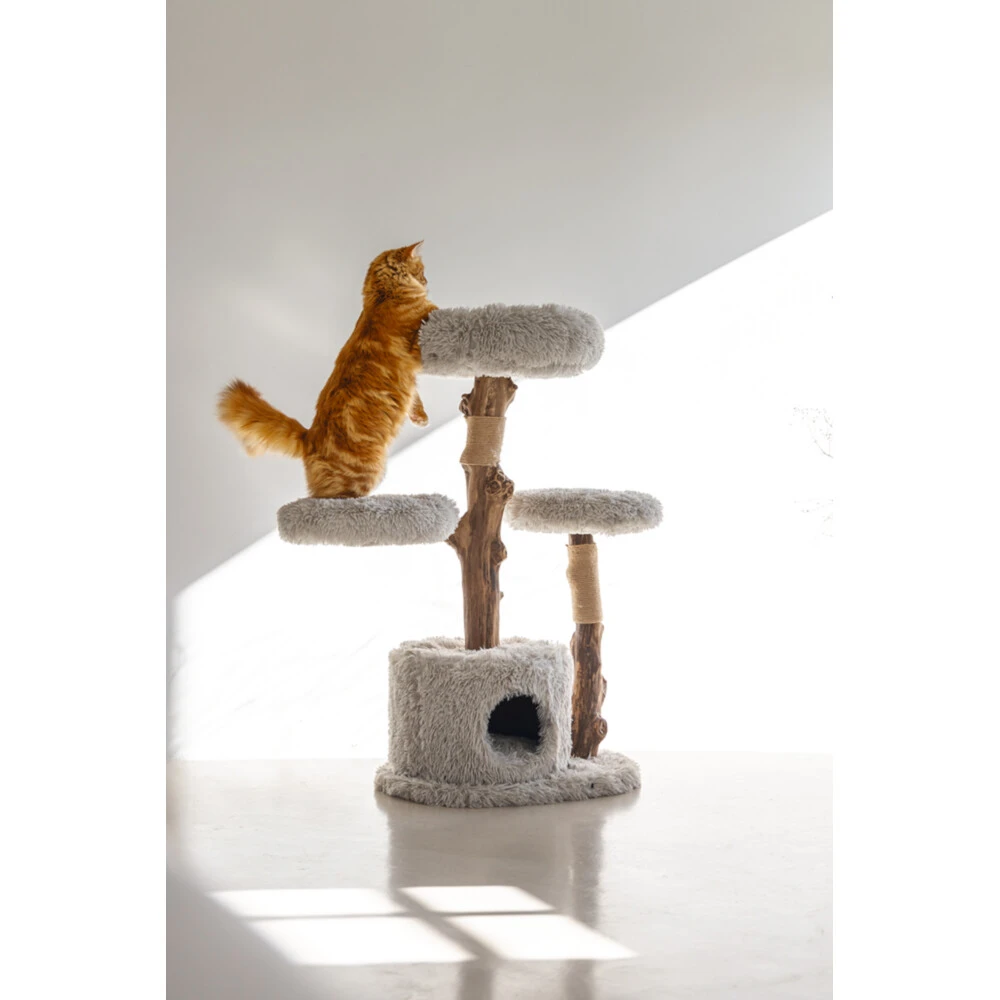 Designed By Lotte Krabmeubel Hout Ziza 5 Designed By Lotte Krabmeubel Hout Ziza - Afbeelding 5