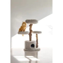 Designed By Lotte Krabmeubel Hout Ziza 11 Designed By Lotte Krabmeubel Hout Ziza -KattenPlezier Winkel 1031638 6