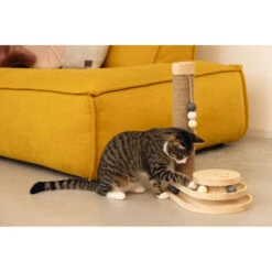 Designed By Lotte Krabpaal Inez -KattenPlezier Winkel 1040283 6