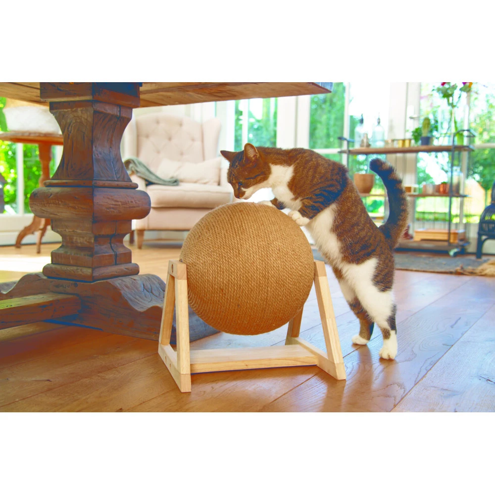 Designed By Lotte Krabbol Op Voet Xem 2 Designed By Lotte Krabbol Op Voet Xem - Afbeelding 2