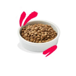 Edgard & Cooper Kattenvoer Senior Kip - Kalkoen -KattenPlezier Winkel 1049143 2