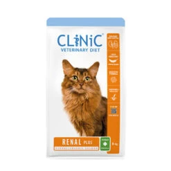 Clinic Kat Rental Plus Zalm