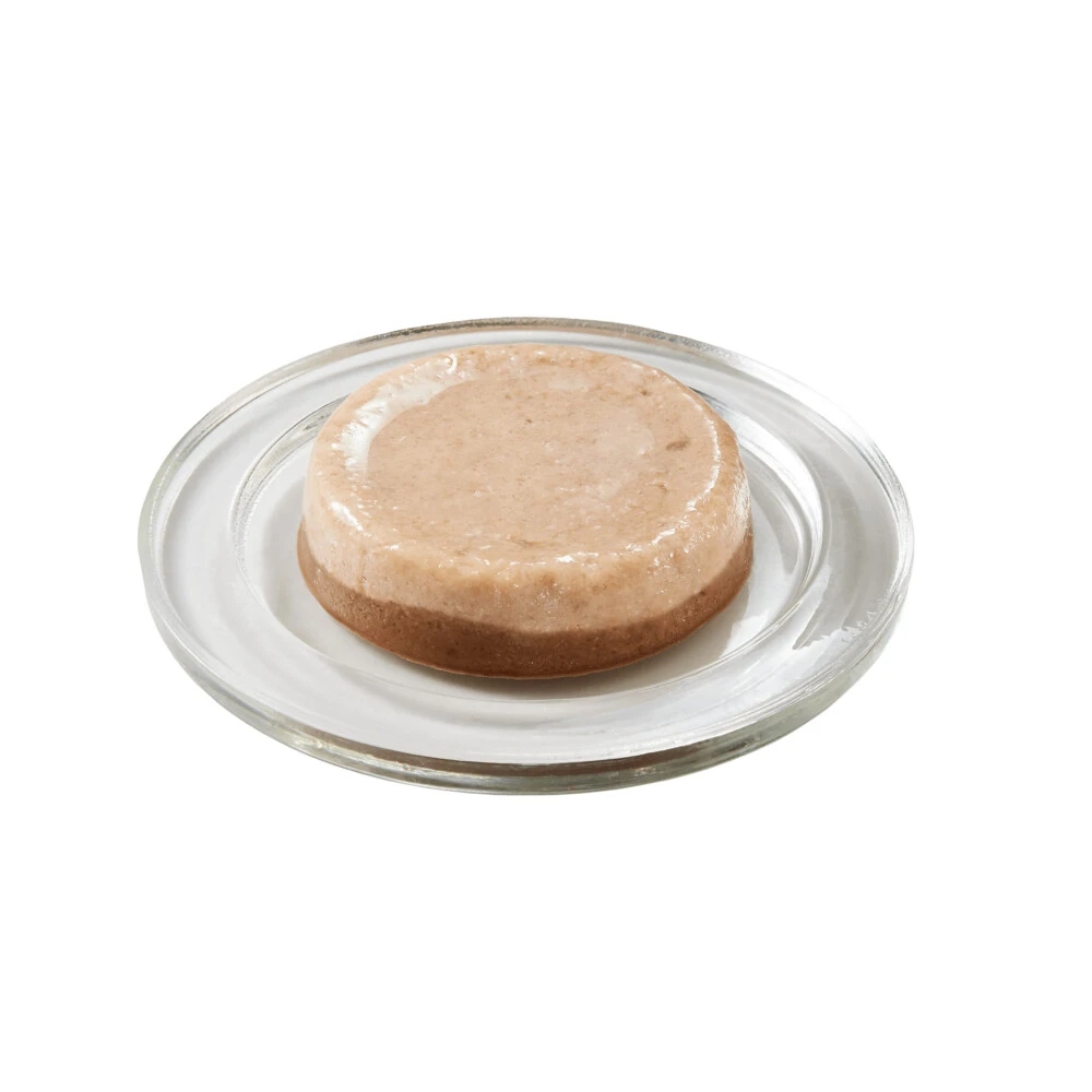 KattenPlezier Winkel -KattenPlezier Winkel 1050483 3