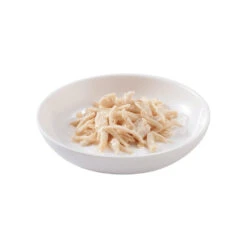 KattenPlezier Winkel -KattenPlezier Winkel 1050495 2