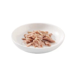 20x Schesir Kattenvoer Tonijn - Ansjovis In Gelei -KattenPlezier Winkel 1050516 2