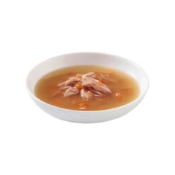 20x Schesir Kattenvoer Wilde Tonijn - Papaya Soup -KattenPlezier Winkel 1050522 3