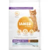 Iams Cat Kitten Ocean Fish