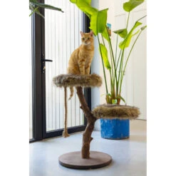 Designed By Lotte Krabmeubel Hout Aviva 8 Designed By Lotte Krabmeubel Hout Aviva -KattenPlezier Winkel 1070250 3