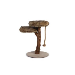 Designed By Lotte Krabmeubel Hout Aviva 11 Designed By Lotte Krabmeubel Hout Aviva -KattenPlezier Winkel 1070250 6