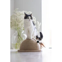 Designed By Lotte Halve Krabbol Hout Vivi -KattenPlezier Winkel 1070458 4