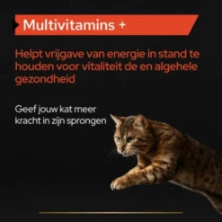 Pro Plan Supplement Poeder Voor Katten Multivitamine -KattenPlezier Winkel 1073847 4
