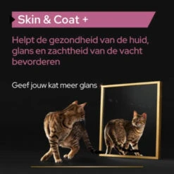 Pro Plan Supplement Olie Voor Katten Skin & Coat -KattenPlezier Winkel 1073849 4
