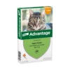 Advantage Anti Vlooiendruppels Kat Tot 4 Kg
