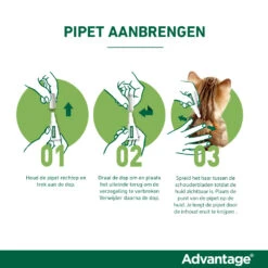 Advantage Anti Vlooiendruppels Kat Tot 4 Kg -KattenPlezier Winkel 701808 4