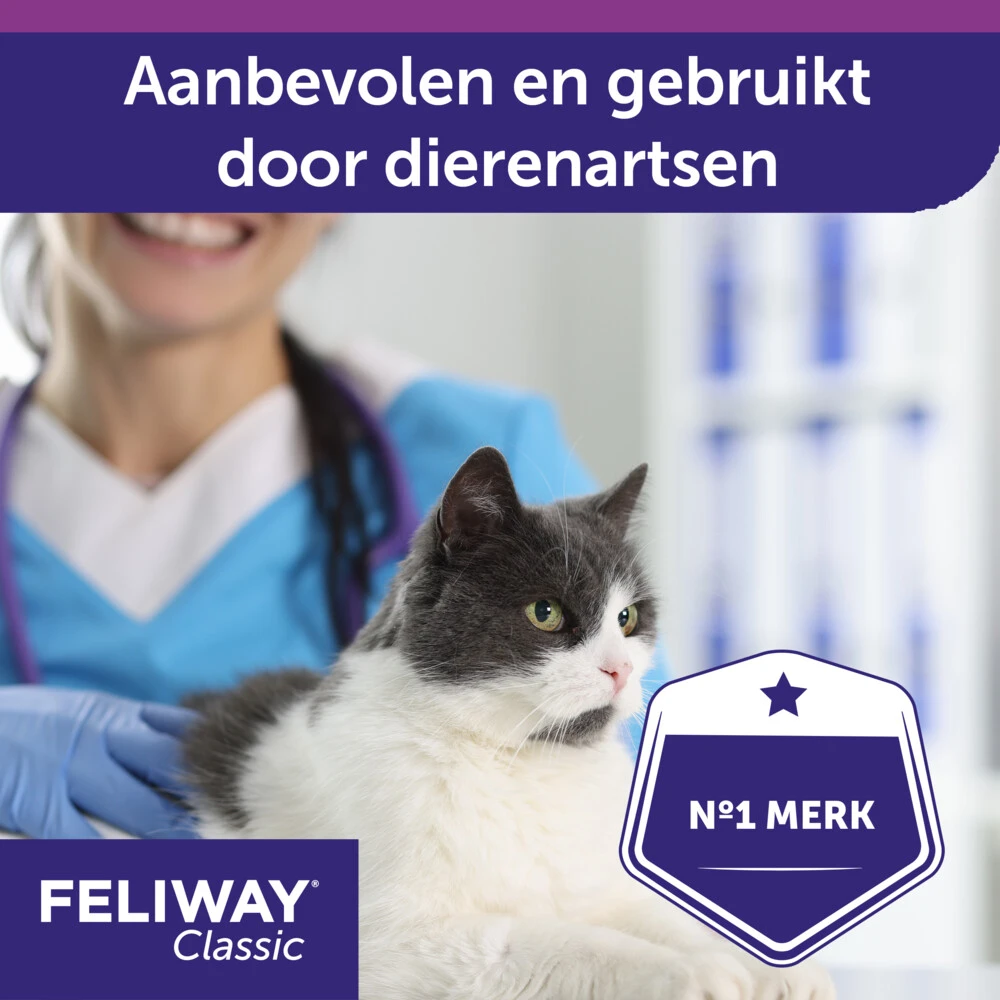 Feliway Classic Spray 3 Feliway Classic Spray - Afbeelding 3
