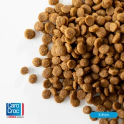 CaroCroc Kitten 33/19 Kattenvoer -KattenPlezier Winkel 876649 4