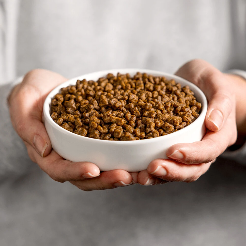 Smolke Kattenvoer Kitten 2 Smolke Kattenvoer Kitten - Afbeelding 2