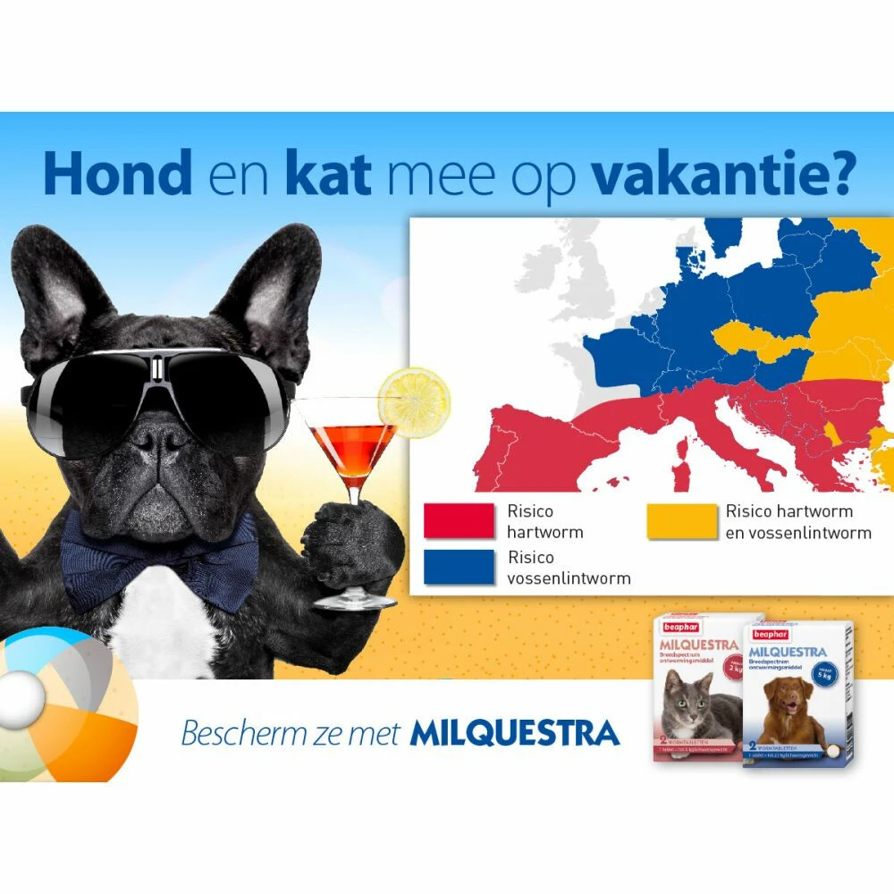 Beaphar Milquestra Ontworming Tabletten Kat 2 - 12 Kg 2 Beaphar Milquestra Ontworming Tabletten Kat 2 - 12 Kg - Afbeelding 2