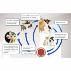 Beaphar Milquestra Ontworming Tabletten Kat 2 - 12 Kg 7 Beaphar Milquestra Ontworming Tabletten Kat 2 - 12 Kg -KattenPlezier Winkel 975813 4