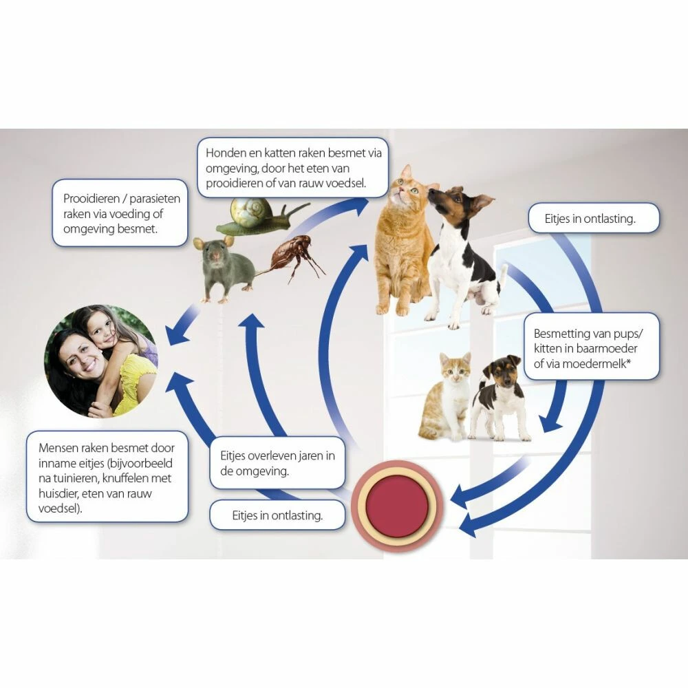 Beaphar Milquestra Ontworming Tabletten Kat 2 - 12 Kg 4 Beaphar Milquestra Ontworming Tabletten Kat 2 - 12 Kg - Afbeelding 4