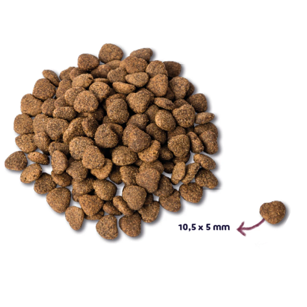 Renske Super Premium Kat Senior Kip & Eend 2 Renske Super Premium Kat Senior Kip & Eend - Afbeelding 2