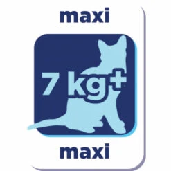 8x Renske Super Premium Droog Kat Adult Zalm -KattenPlezier Winkel 977902 2