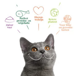 8x Yarrah Bio Kattenvoer Multipack Paté Graanvrij Kip - Rund -KattenPlezier Winkel 977932 4