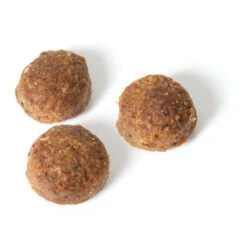 Fokker Age Care Kattenvoer Gevogelte -KattenPlezier Winkel 983747 2