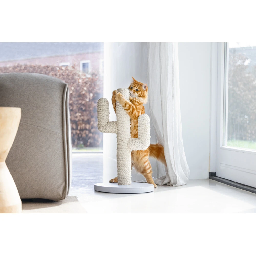 Designed By Lotte Houten Krabpaal Cactus Wit 5 Designed By Lotte Houten Krabpaal Cactus Wit - Afbeelding 5