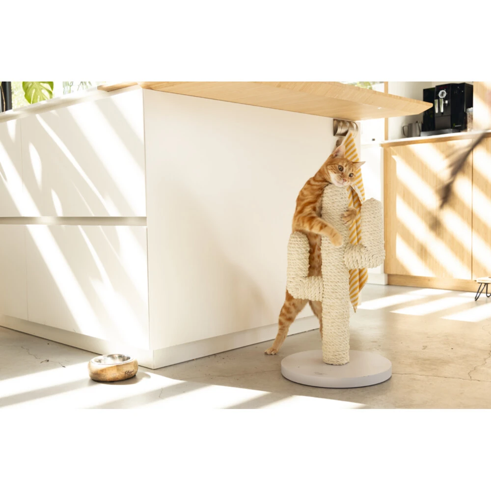 Designed By Lotte Houten Krabpaal Cactus Wit 6 Designed By Lotte Houten Krabpaal Cactus Wit - Afbeelding 6