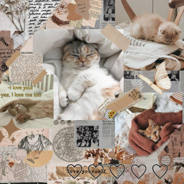 KattenPlezier Winkel -KattenPlezier Winkel background65